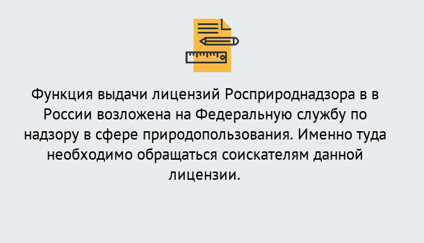 Почему нужно обратиться к нам? Ишимбай Лицензия Росприроднадзора. Под ключ! в Ишимбай