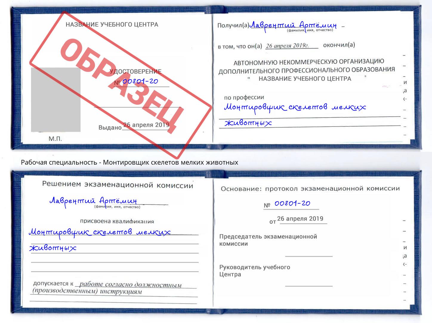 Монтировщик скелетов мелких животных Ишимбай